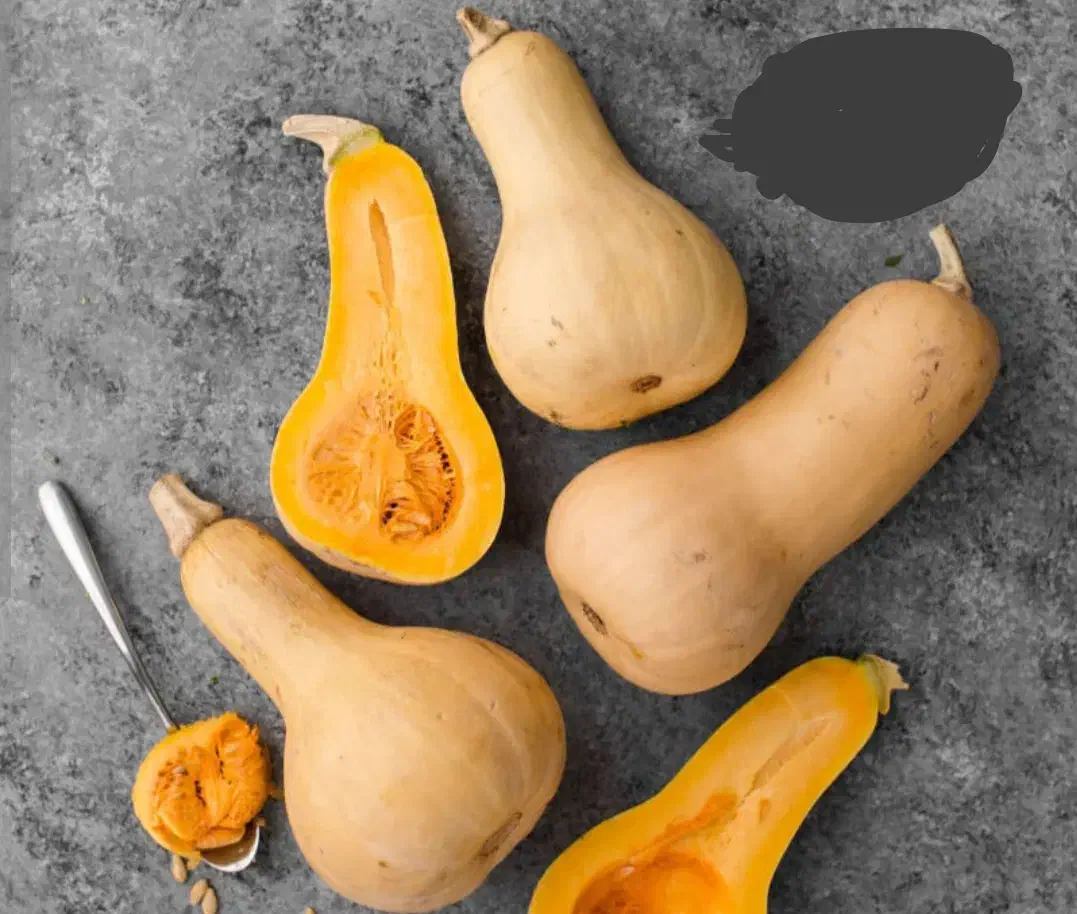 کدو حلوایی|خوردنی و آشامیدنی|فریمان, |دیوار