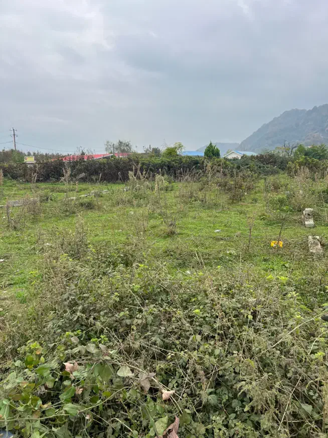 450متر/روبه رودخانه/12بر/ویوابدی/سندآماده انتقال|فروش زمین و ملک کلنگی|آستارا, |دیوار