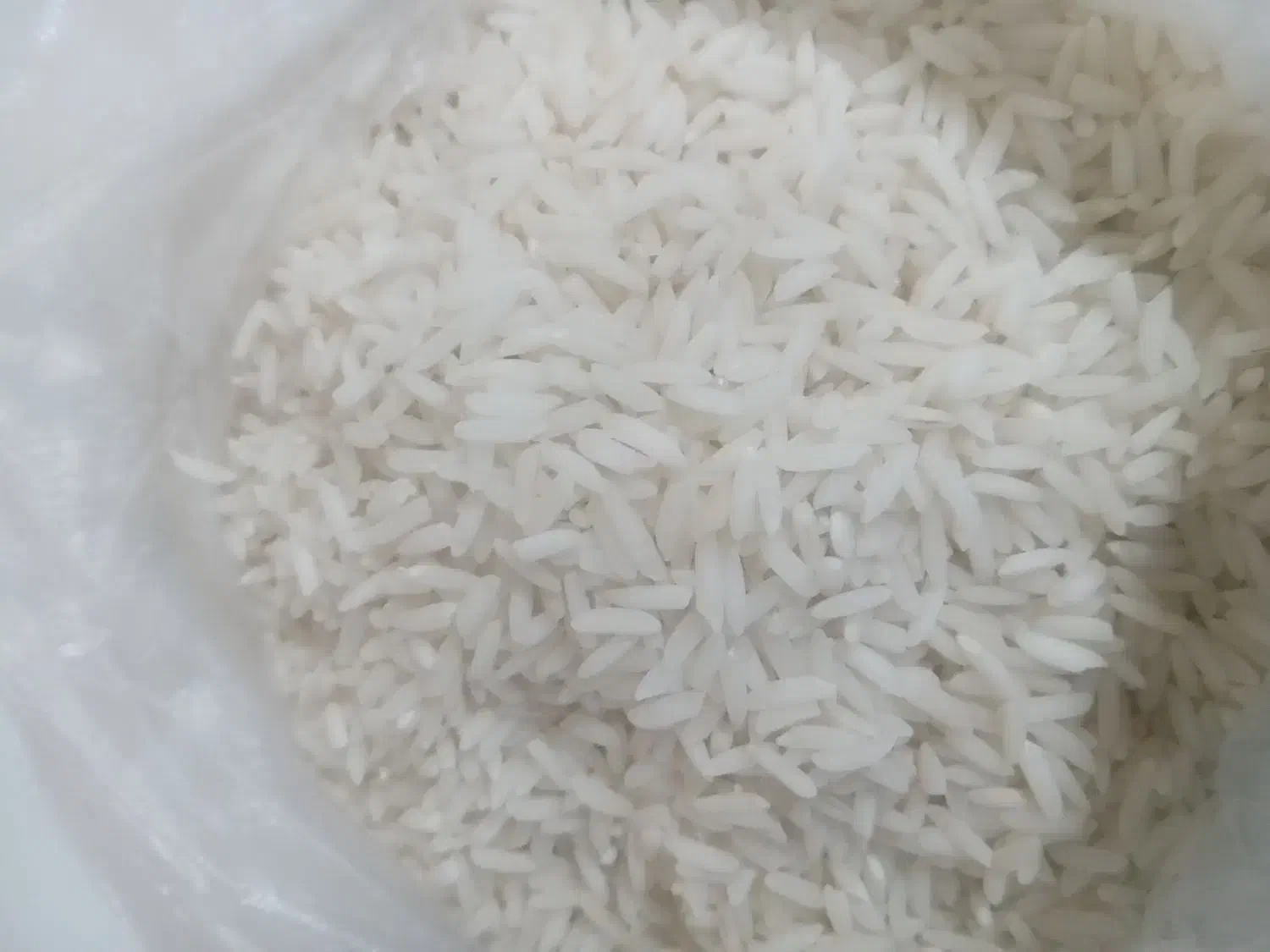 فروش برنج از تولید به مصرف|عمده‌فروشی|سنگر, |دیوار