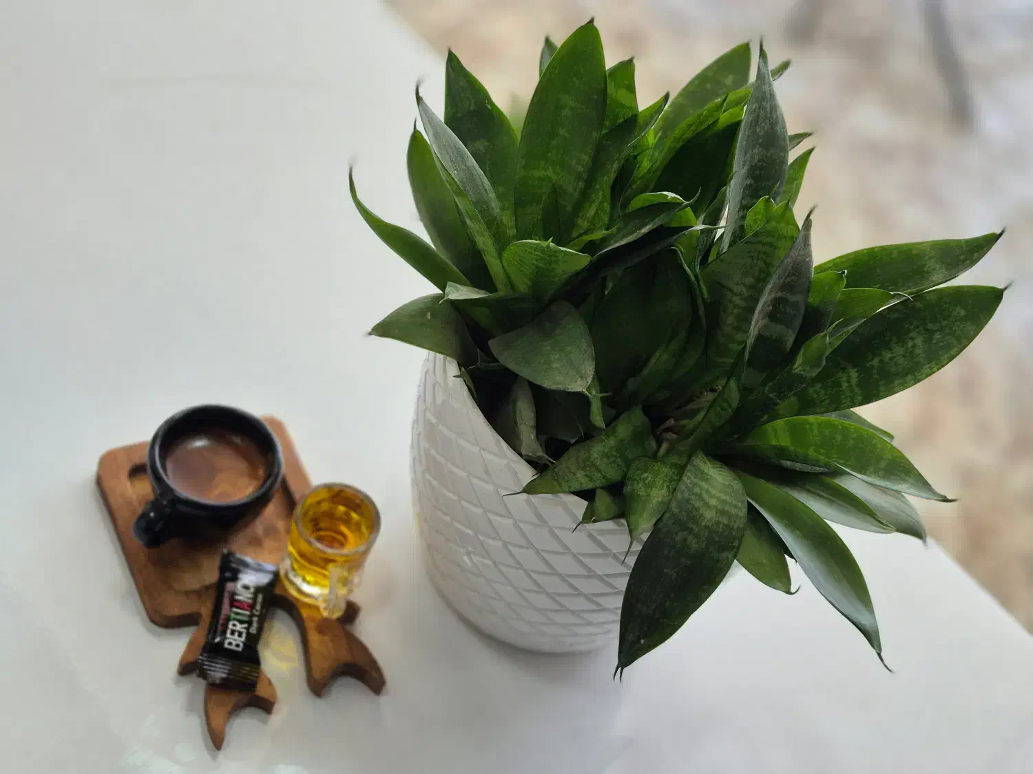 کار کردن در کافه|استخدام خدمات فروشگاه و رستوران|نجفآباد, شیخ آباد|دیوار