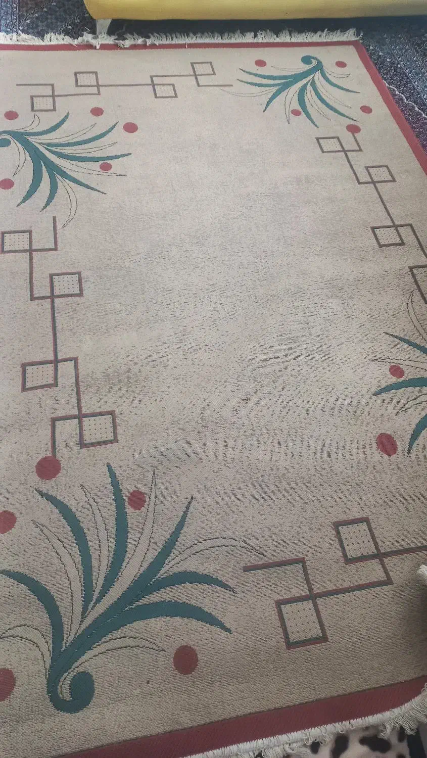 فروش گلیم فرش ۶ متری|گلیم، جاجیم، گبه|میانه, |دیوار