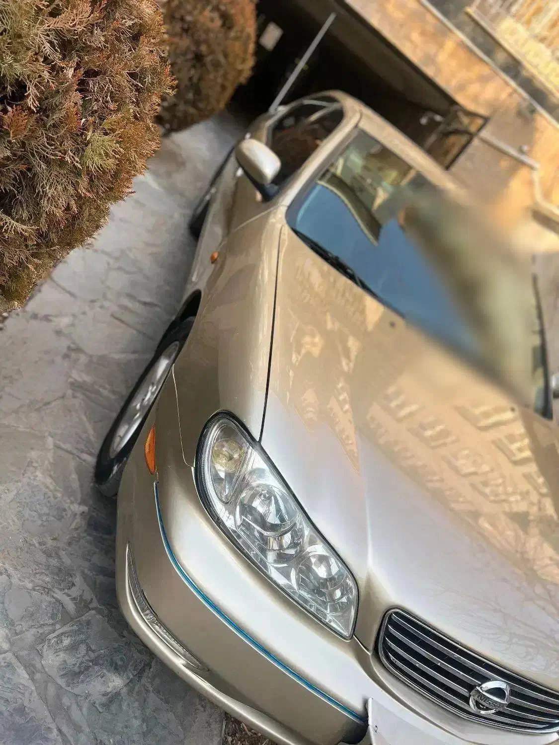 ماکسیما مدل 81|خودرو سواری و وانت|فردیس, فردیس|دیوار