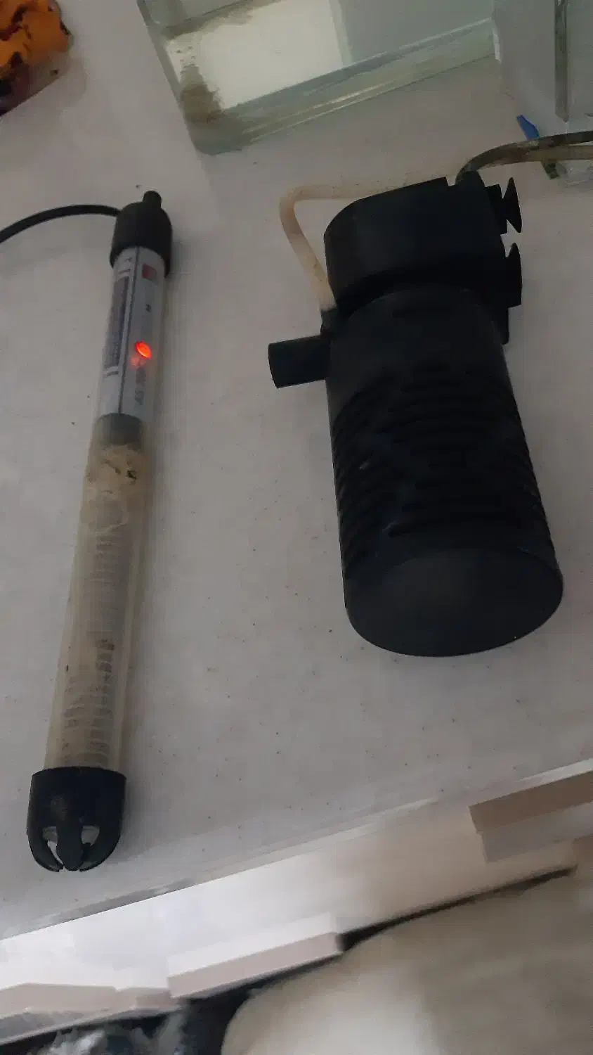 آکواریوم شیشه خم|ماهی|پرند, فاز ۲|دیوار