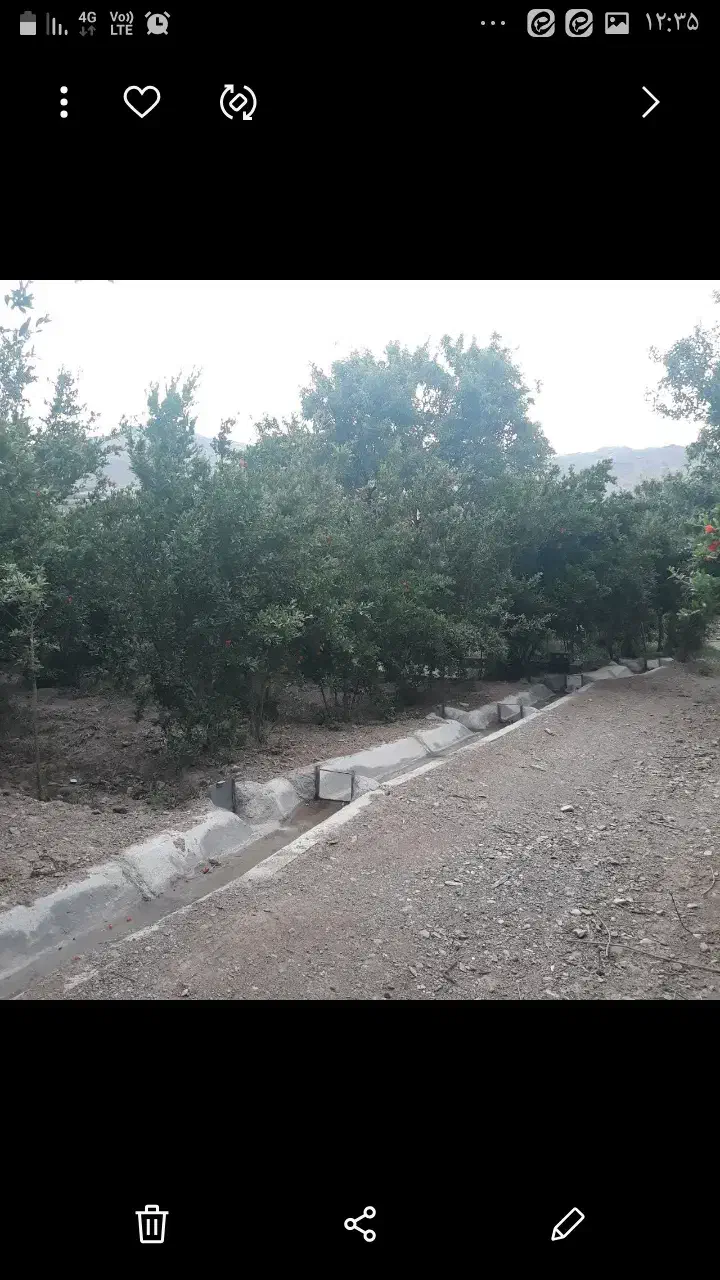 معاوضه باغ انار با پیش خرید خانه در منطقه ۱۴|پیشفروش املاک|قاهان, |دیوار