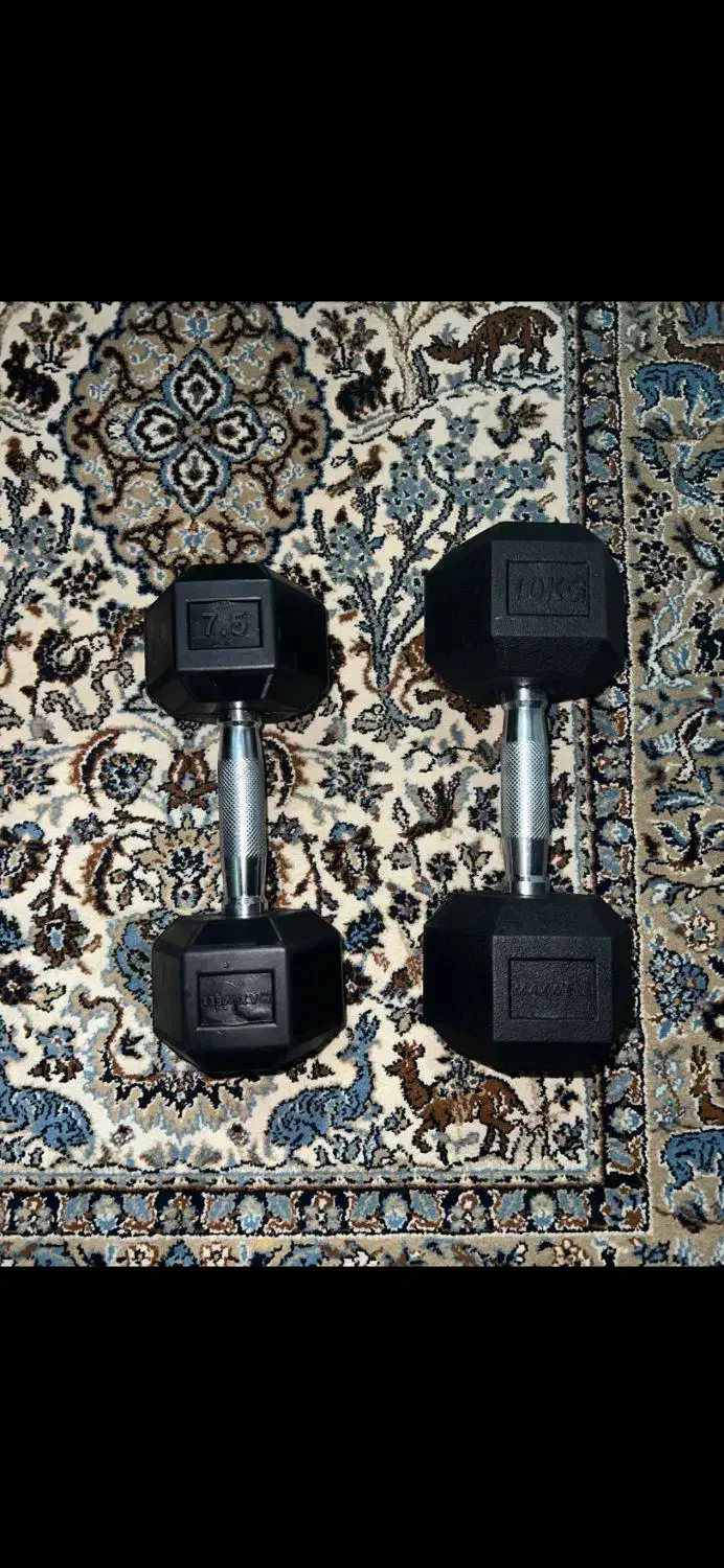 دمبل شش ضلعی زیر قیمت بازار|تجهیزات ورزشی|تهران, هاشمی|دیوار