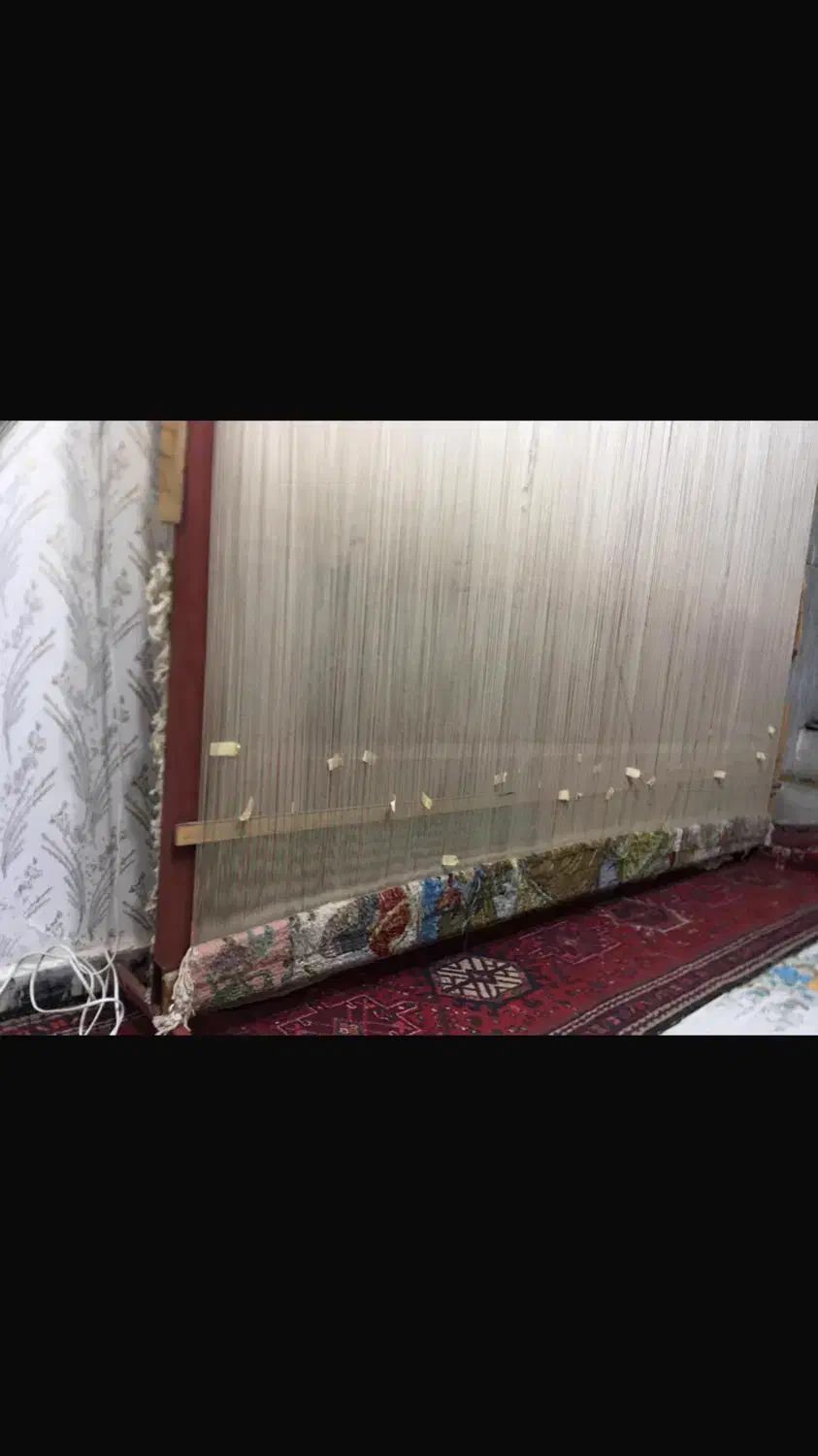 فرش نیمه کاره|فرش|میانه, |دیوار