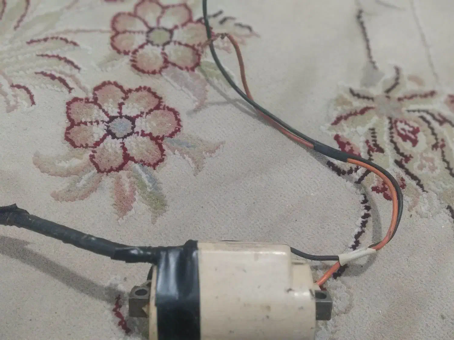 کویل|لوازم جانبی حیوانات|سبزوار, هویزه|دیوار