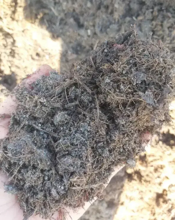 کود کمپوست|خدمات باغبانی و درختکاری|بندرعباس, |دیوار