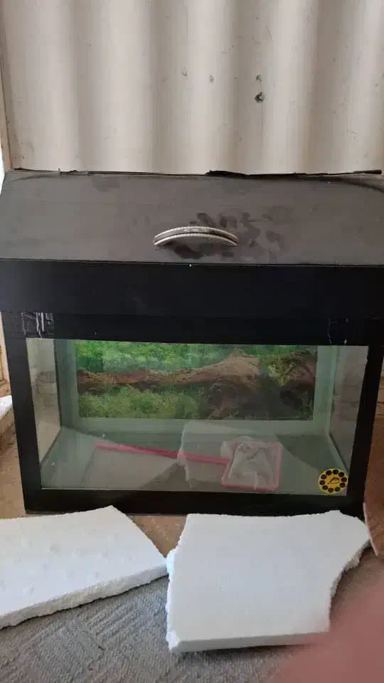 اکواریوم|ماهی|دوگنبدان, |دیوار