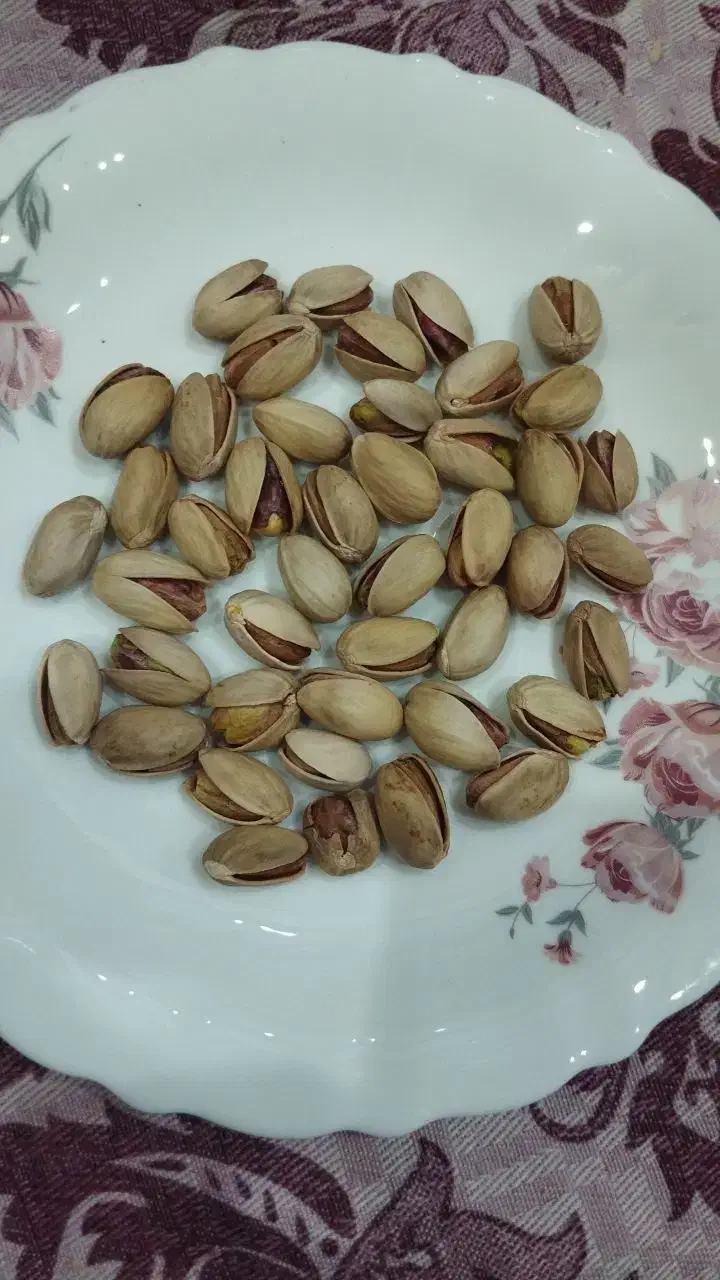 پسته|خوردنی و آشامیدنی|کرج, برغان|دیوار