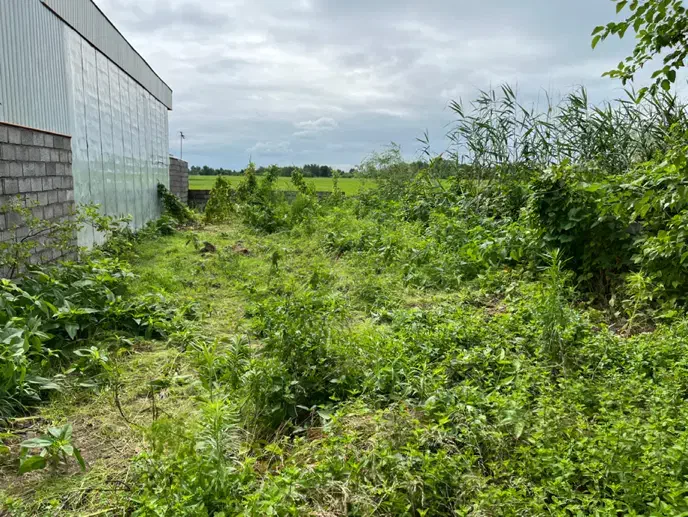 زمینی کلنگی، ۲۰۱ متر مربع|فروش زمین و ملک کلنگی|کیاشهر, |دیوار