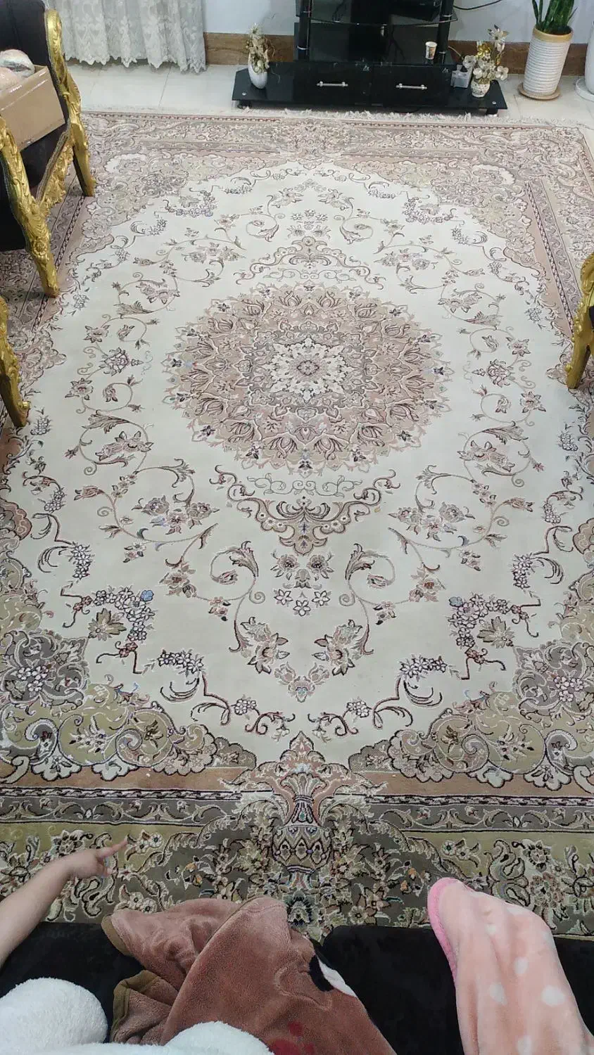 فرش ۵۰۰ شانه ۹متری|فرش|بوشهر, |دیوار