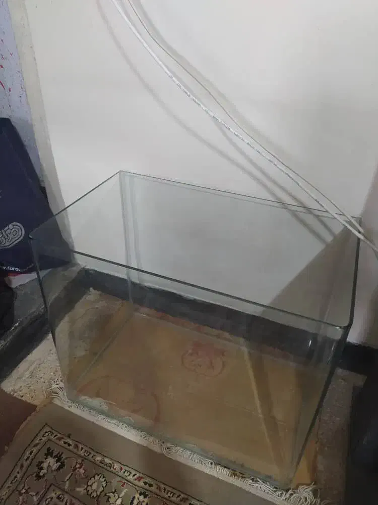 اکواریوم شیشه خم|ماهی|شیراز, لشکری‎|دیوار