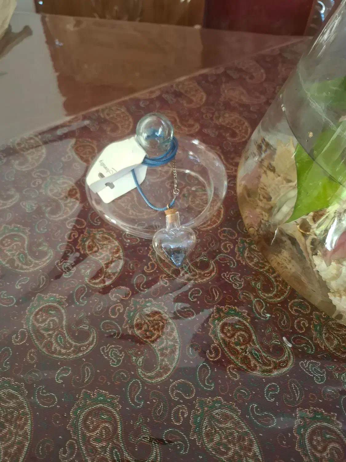 تراریوم|گل و گیاه طبیعی|تهران, سازمان برنامه جنوبی|دیوار