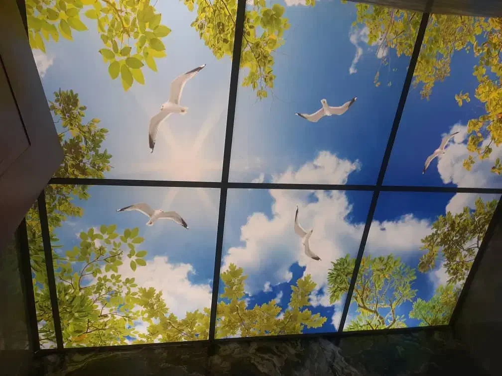 سقف کاذب|خدمات پیشه و مهارت|پاکدشت, پاکدشت (مامازند)|دیوار