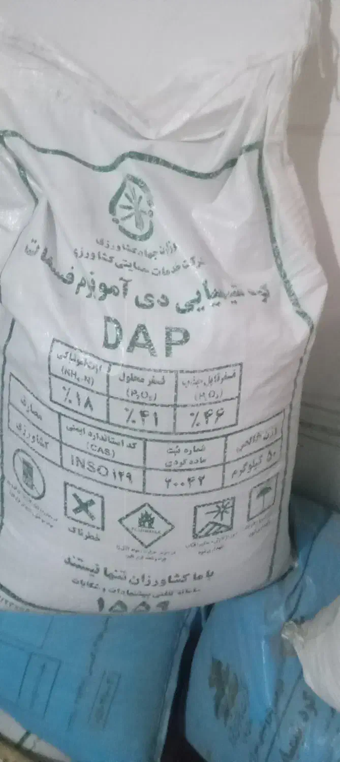 کود رازی|گل و گیاه طبیعی|عجب شیر, |دیوار