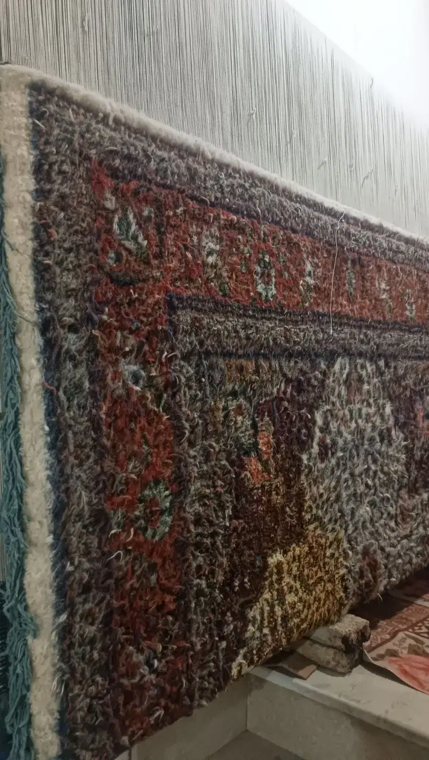 فرش|فرش|تبریز, |دیوار