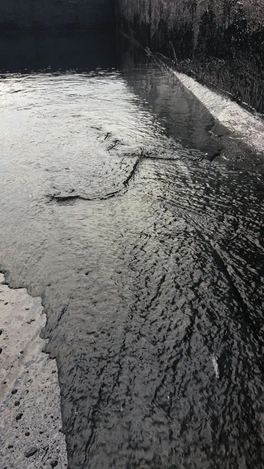 نصاب قیر گونی و ایزوگام|خدمات پیشه و مهارت|تنکابن, |دیوار