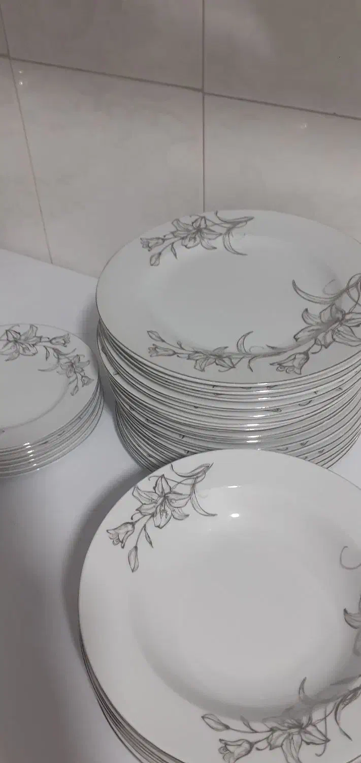 ظروف چینی نفیس|ظروف سرو و پذیرایی|رباط‌کریم, الارد|دیوار