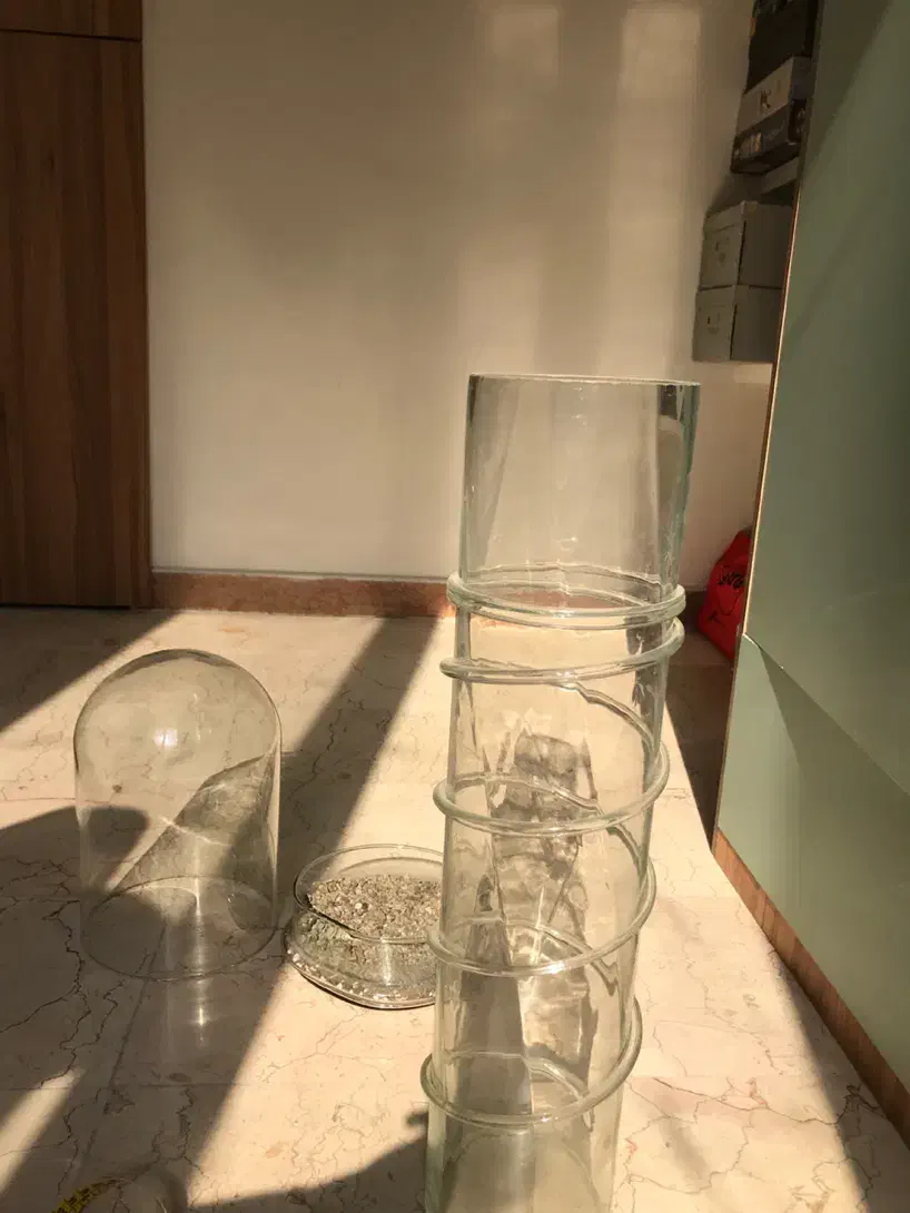 گلدان|گل و گیاه طبیعی|تهران, گیشا|دیوار