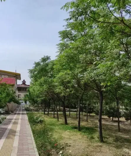 ویلایی ۳طبقه مجزا /زمین۲۱۵متری/فاز۳برخیابان اصلی|فروش خانه و ویلا|اندیشه, اندیشه فاز ۳|دیوار