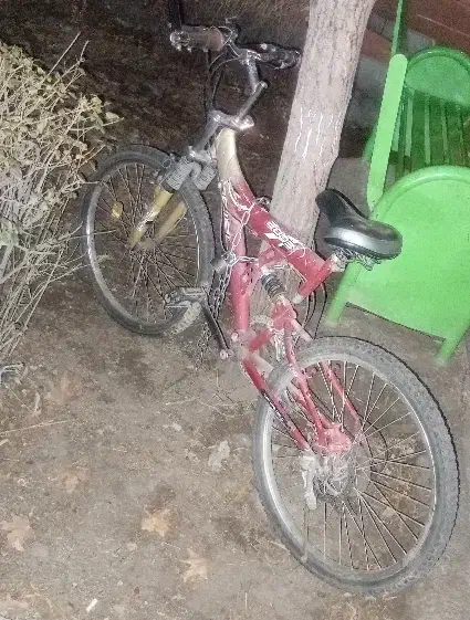 دوچرخه سالم|دوچرخه، اسکیت، اسکوتر|ری, شهادت|دیوار