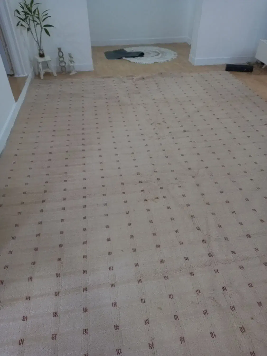 پالاز موکت|موکت|بندر امام خمینی, |دیوار