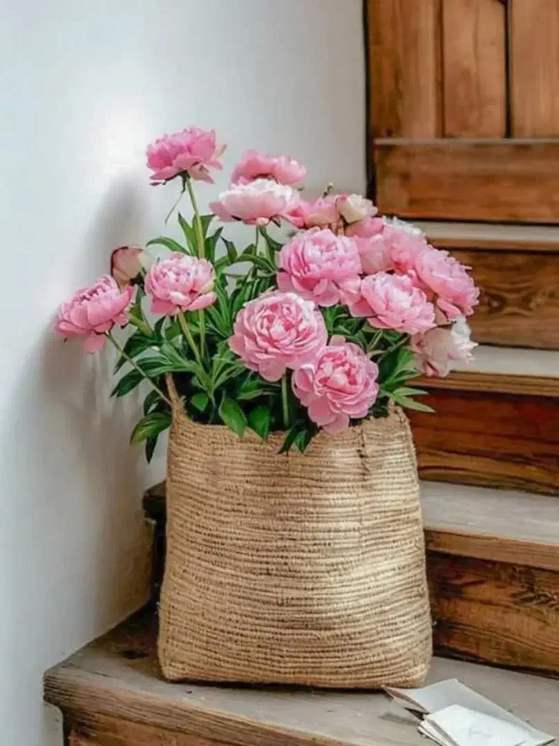 نظافت و خدمات|خدمات نظافت|شیراز, باهنر|دیوار