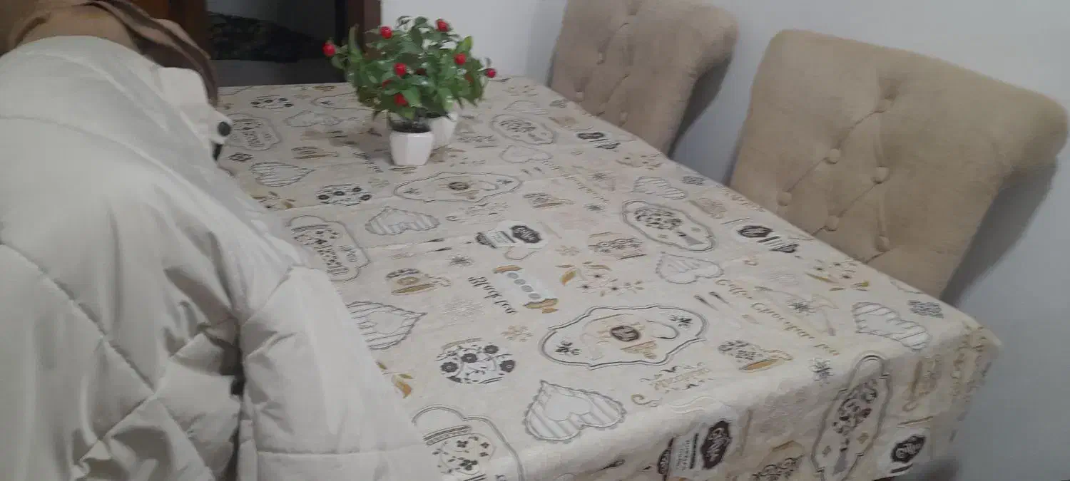 ناهار خوری|میز و صندلی غذاخوری|آستارا, |دیوار