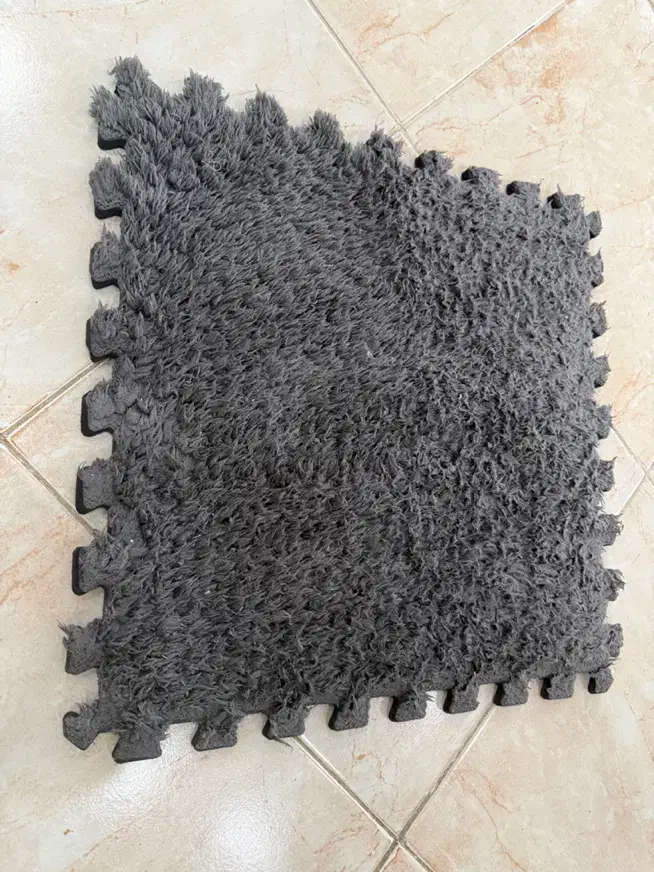 موکت تایلی|موکت|کاشان, دانش|دیوار