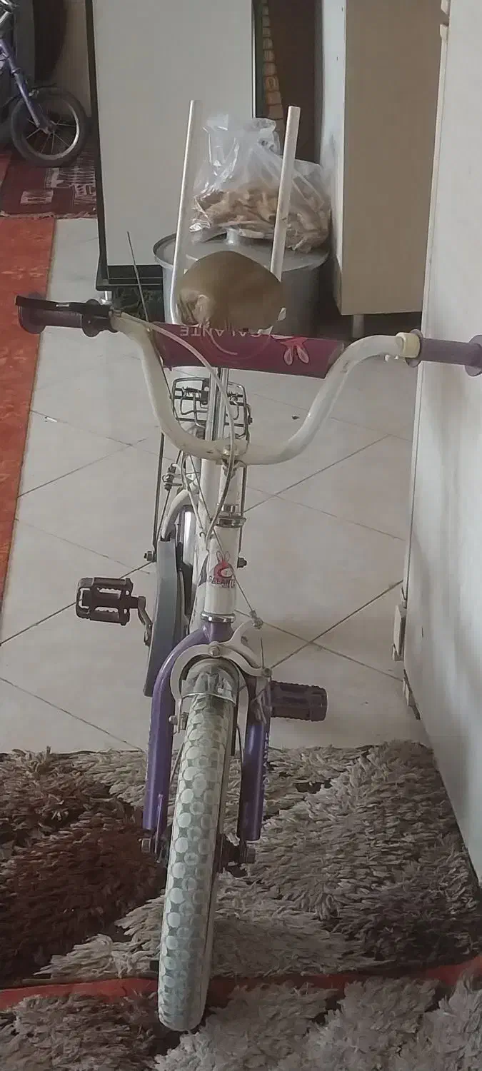 دوچرخه|دوچرخه، اسکیت، اسکوتر|گلبهار, شهر جدید گلبهار|دیوار