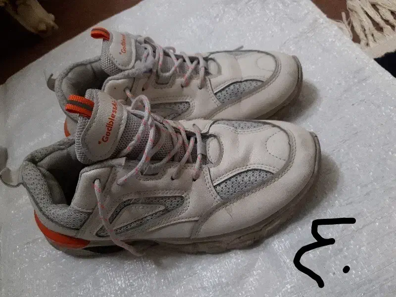 کفش|کیف، کفش، کمربند|قوچان, |دیوار