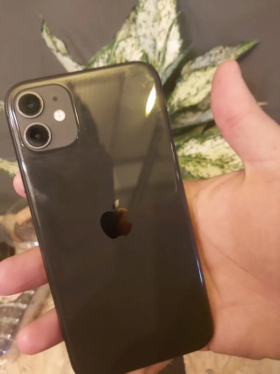 ایفون ۱۱|موبایل|مشهد, کوی سیدی|دیوار