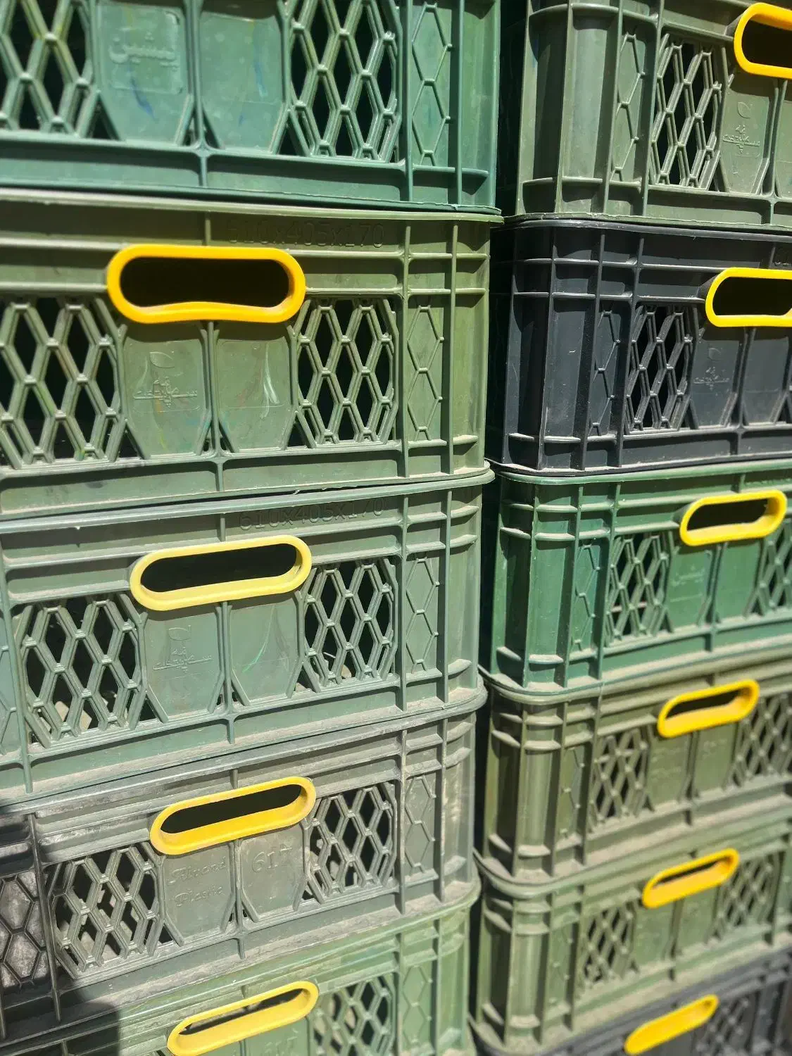 فروش فوری سبد لبنیاتی در حد نو|فروشگاه و مغازه|لنجان, |دیوار