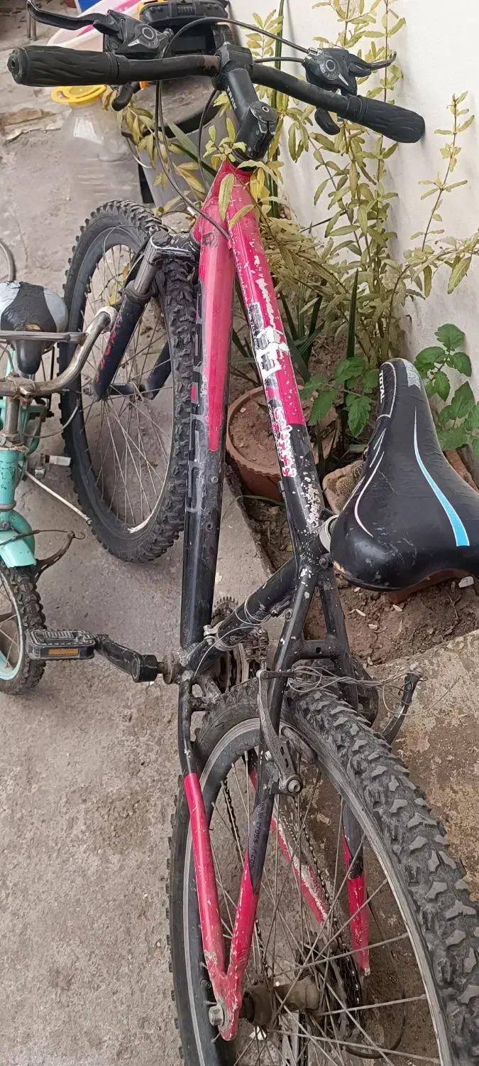 دوچرخه بزرگ کوچک|دوچرخه، اسکیت، اسکوتر|سراب, |دیوار