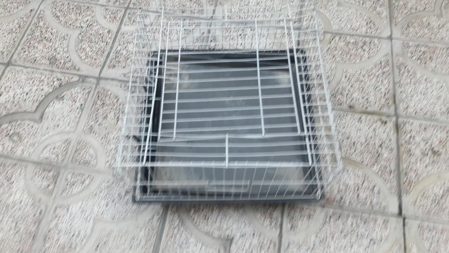 فروش|لوازم جانبی حیوانات|نقده, |دیوار