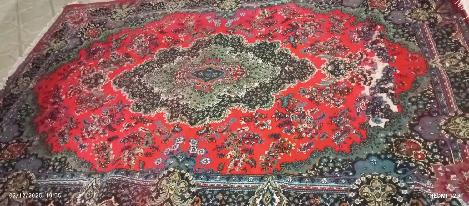 فرش|فرش|قائن, |دیوار