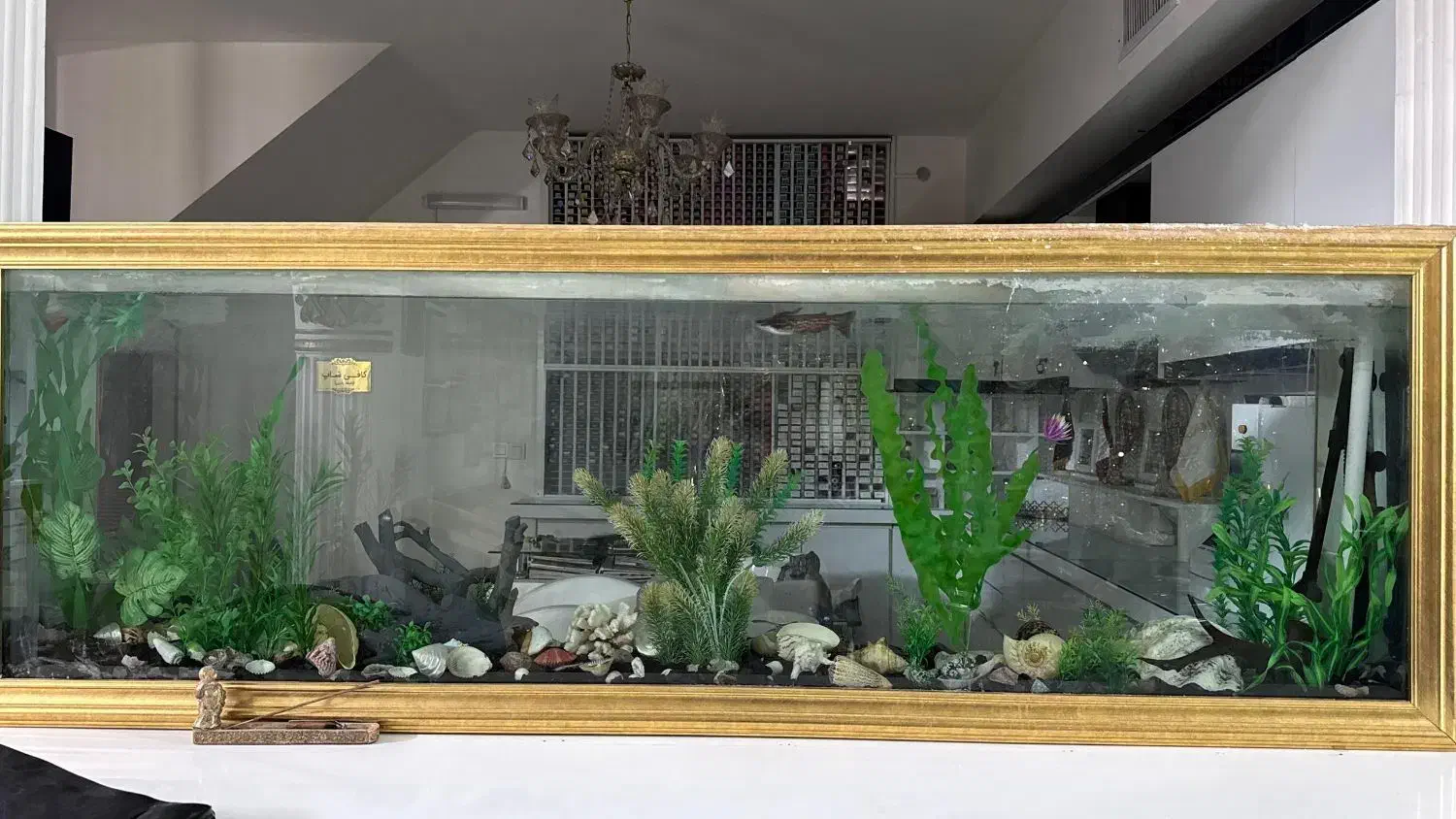 آکواریوم|ماهی|مشهد, هنرستان|دیوار