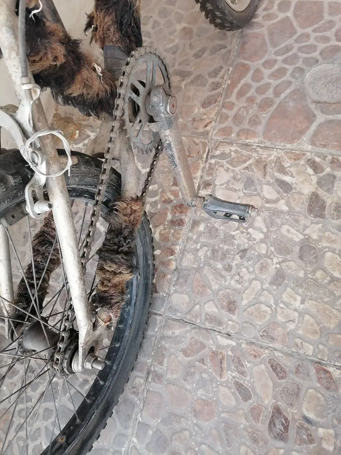 دوچرخه،20،BMX|دوچرخه، اسکیت، اسکوتر|بیرجند, |دیوار