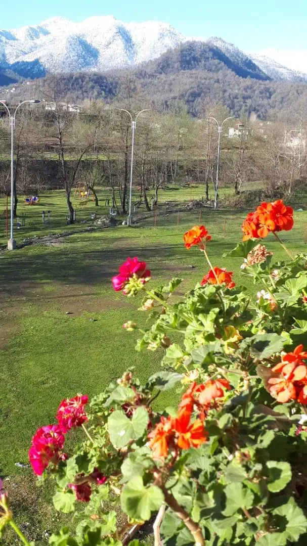 رهن و اجاره ویلا مبله در ماکلوان جاده ماسوله|اجارهٔ خانه و ویلا|ماکلوان, |دیوار