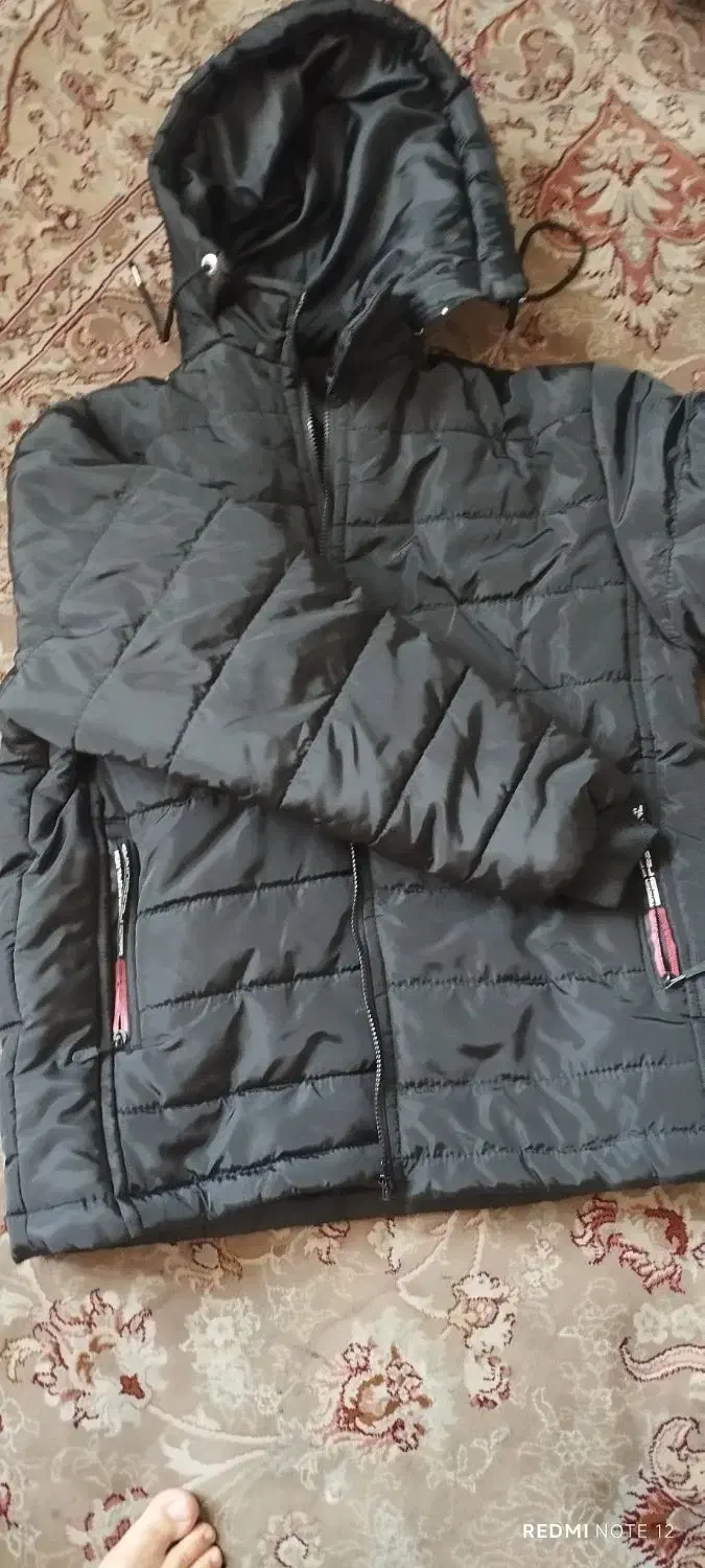 کاپشن بادی مردانه|لباس|تهران, شهرک دانشگاه|دیوار