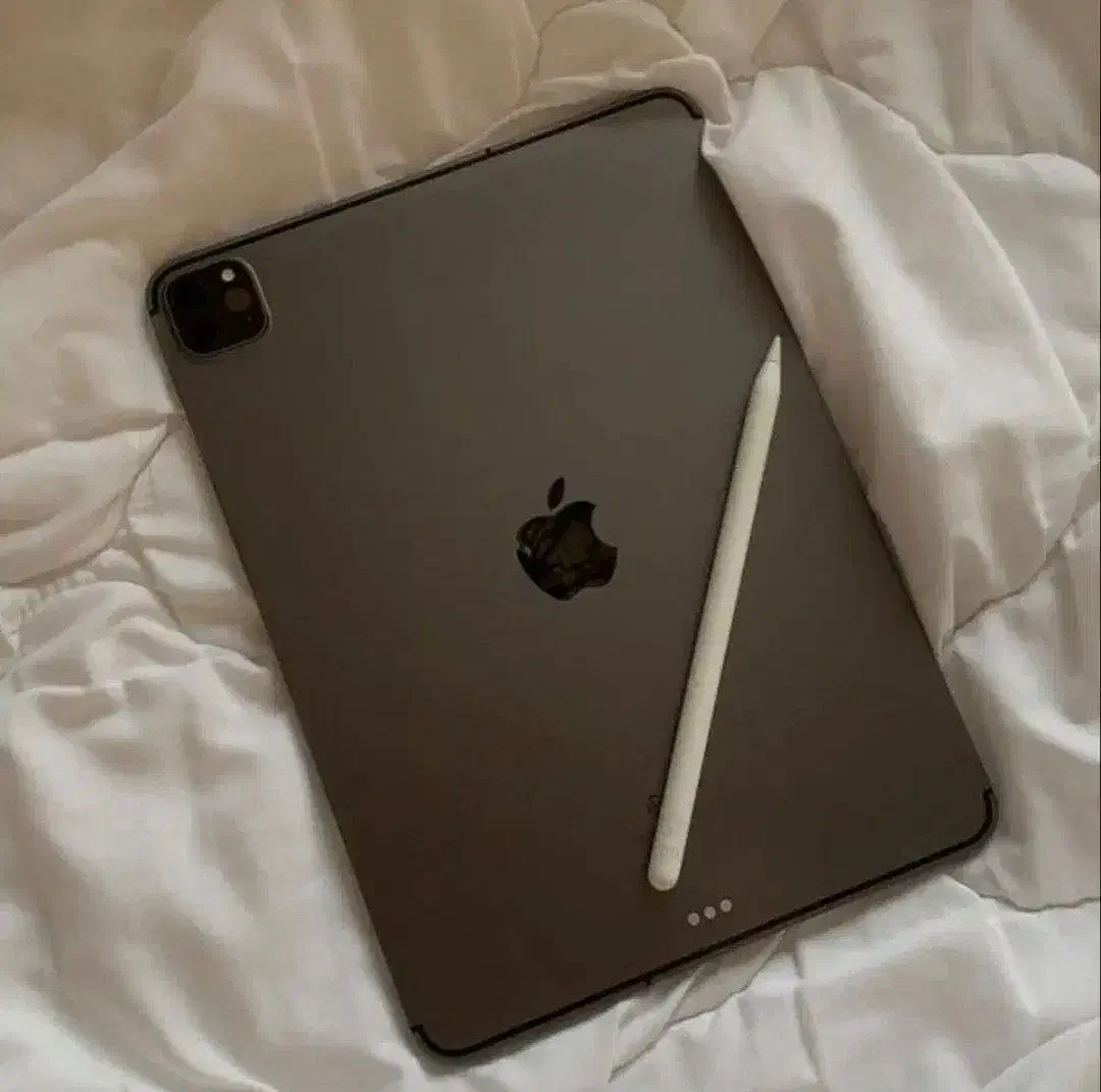 ipad pro 2022|تبلت|مشهد, حجاب (شهرک غرب)|دیوار