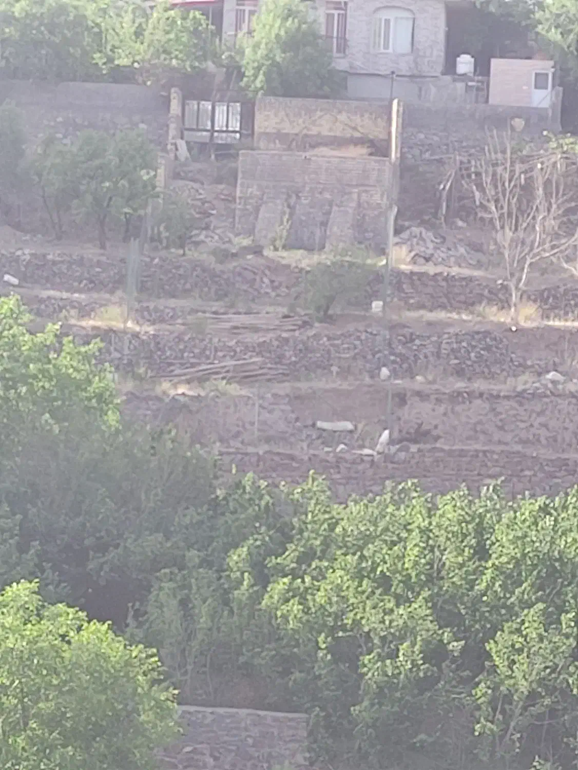 آپارتمان طبقه همکف|اجارهٔ آپارتمان|قم, تعویض پلاک|دیوار