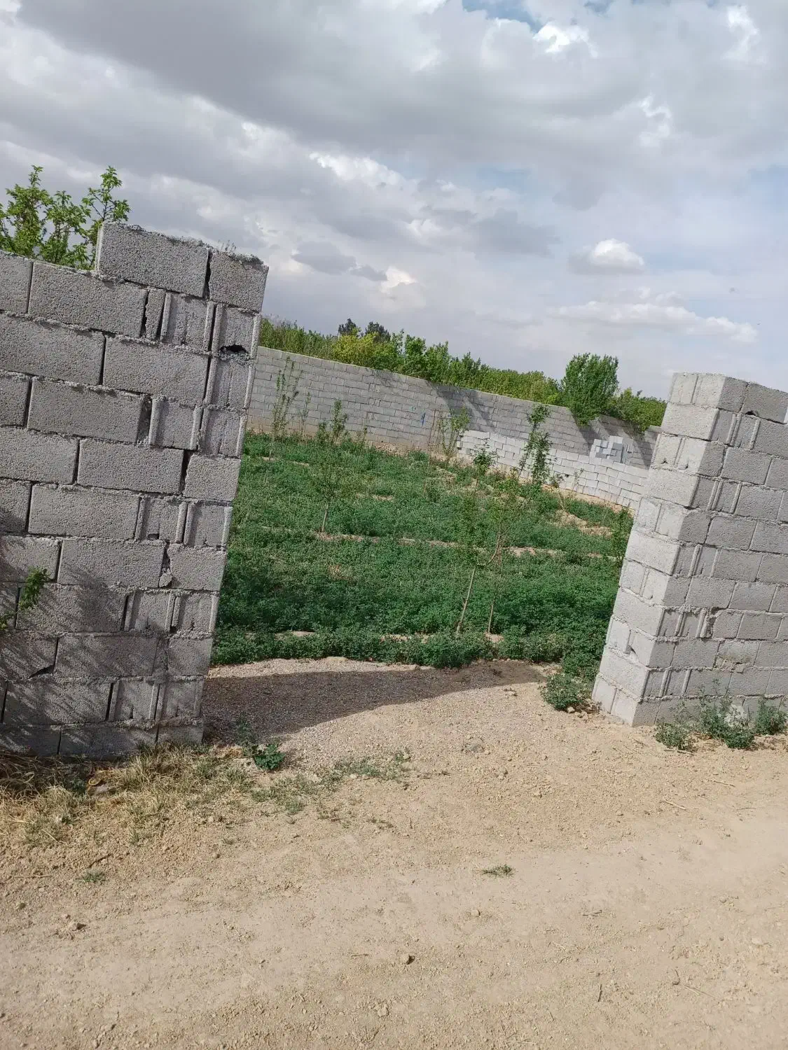 زمین فروشی برای سرمایه گذاری|فروش دفتر صنعتی، کشاورزی، تجاری|خمینی‌شهر, |دیوار