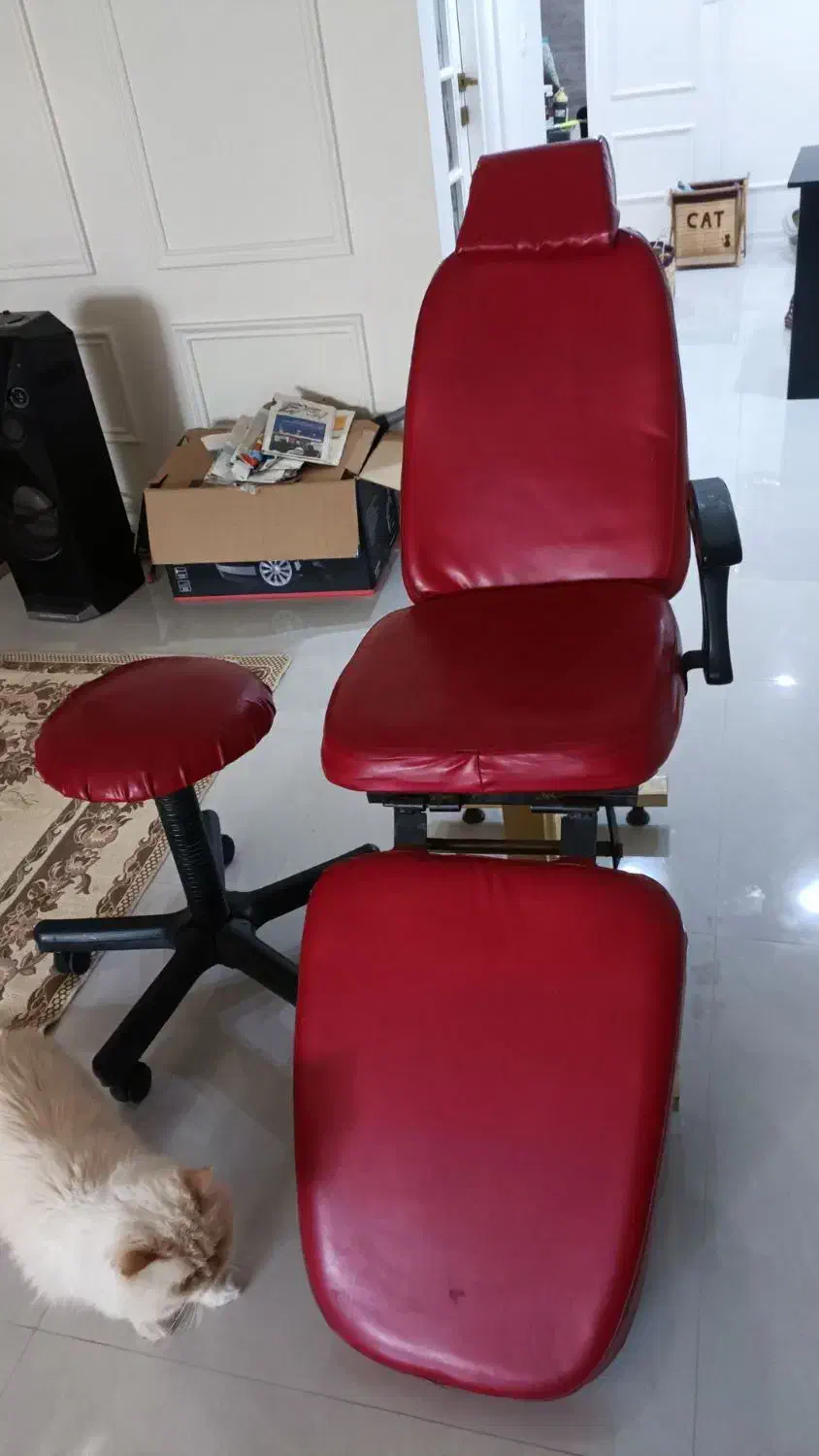 صندلی اصلاح و صندلی چرخدار|آرایشگاه و سالنهای زیبایی|نیشابور, شهرک فرهنگیان|دیوار