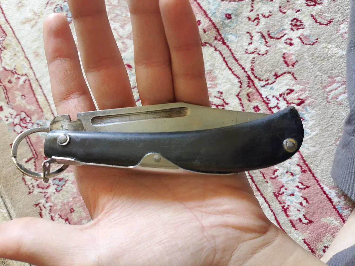 چاقو|کوهنوردی و کمپینگ|مریوان, |دیوار