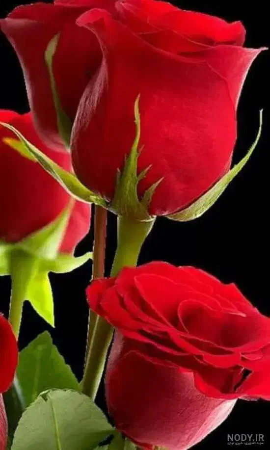 0912.253.0060|سیم‌کارت|قم, علی آباد سعدگان|دیوار