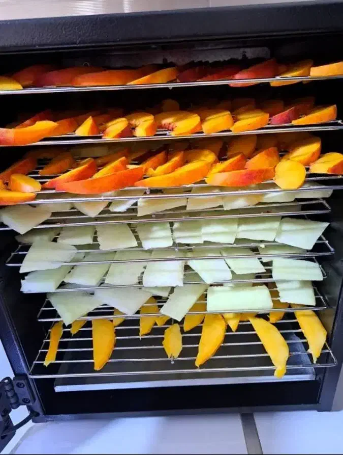 دستگاه میوه و سبزی خشک کن|سایر لوازم برقی|تهران, ترمینال غرب|دیوار