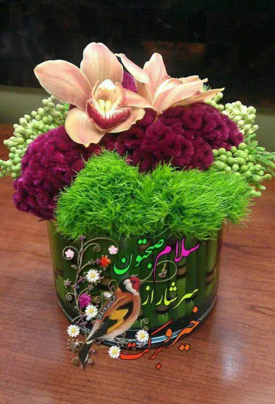 نیروی خانه داری برا هتل جهانگردی  خانم|استخدام سرایداری و نظافت|سبزوار, بیهق شرقی|دیوار
