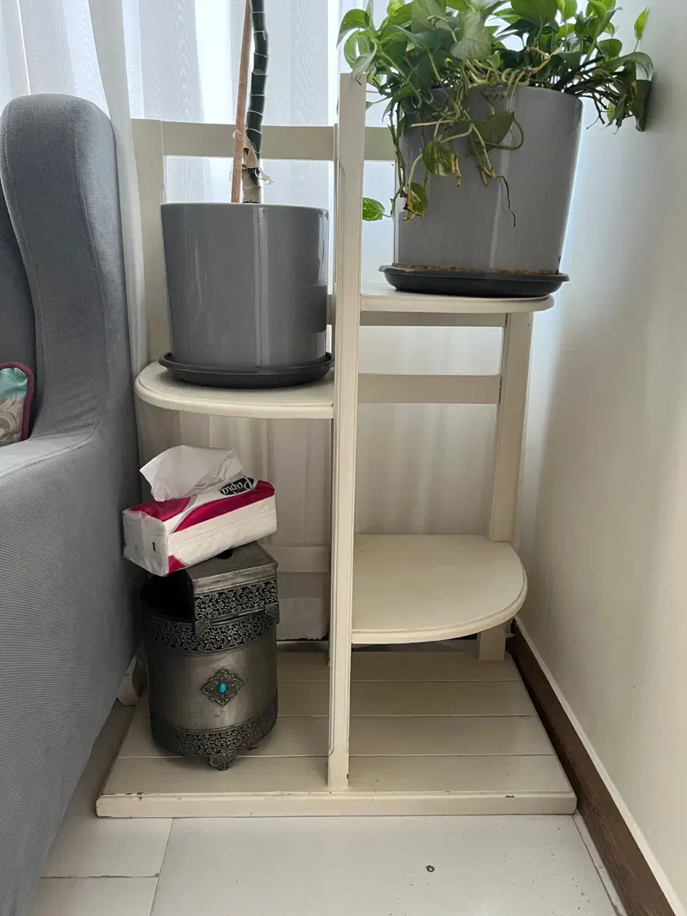 جا گلدان و گل|گل و گیاه طبیعی|پردیس, فاز ۵|دیوار